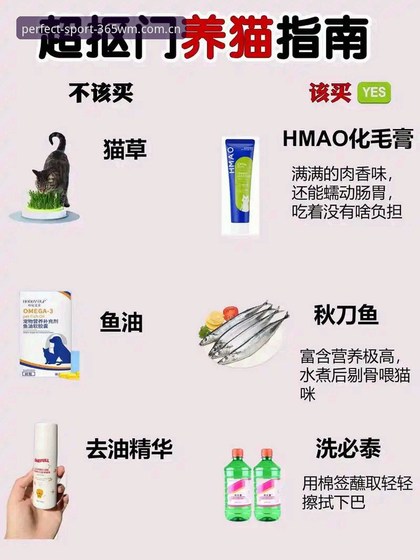 365wm完美平台体育注册官网常见问题完整指南：新老用户必读的实用手册